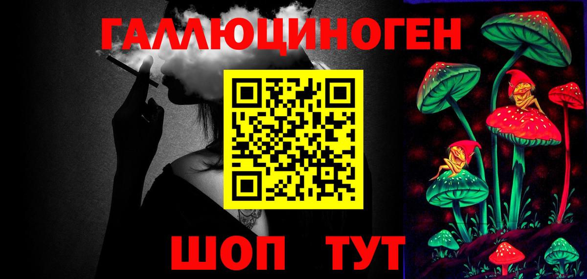 Галлюциногенные грибы Psilocybe Кизляр
