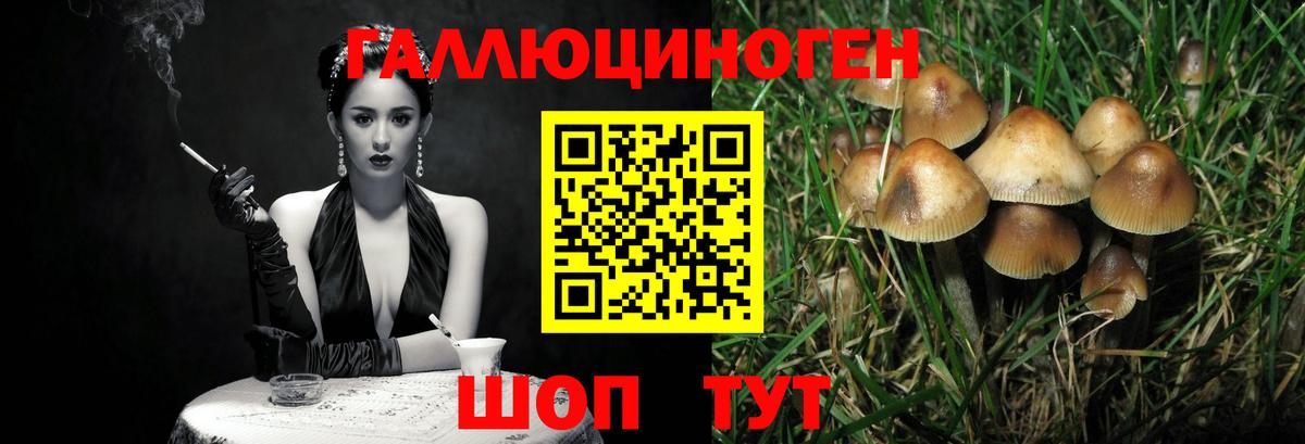 Псилоцибиновые грибы Cubensis  Вход с VPN  Галлюциногенные грибы GOLDEN TEACHER  Кизляр 